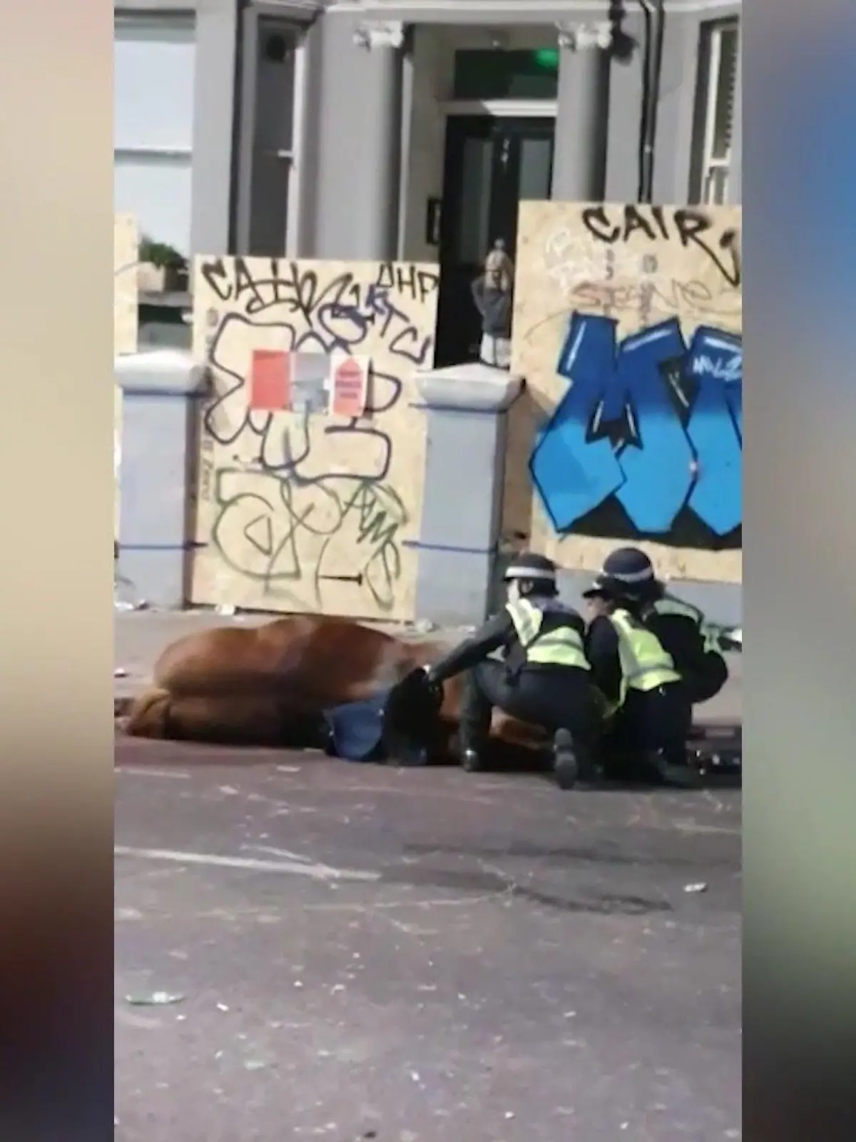 London: Polizei-Pferd bricht zusammen und stirbt