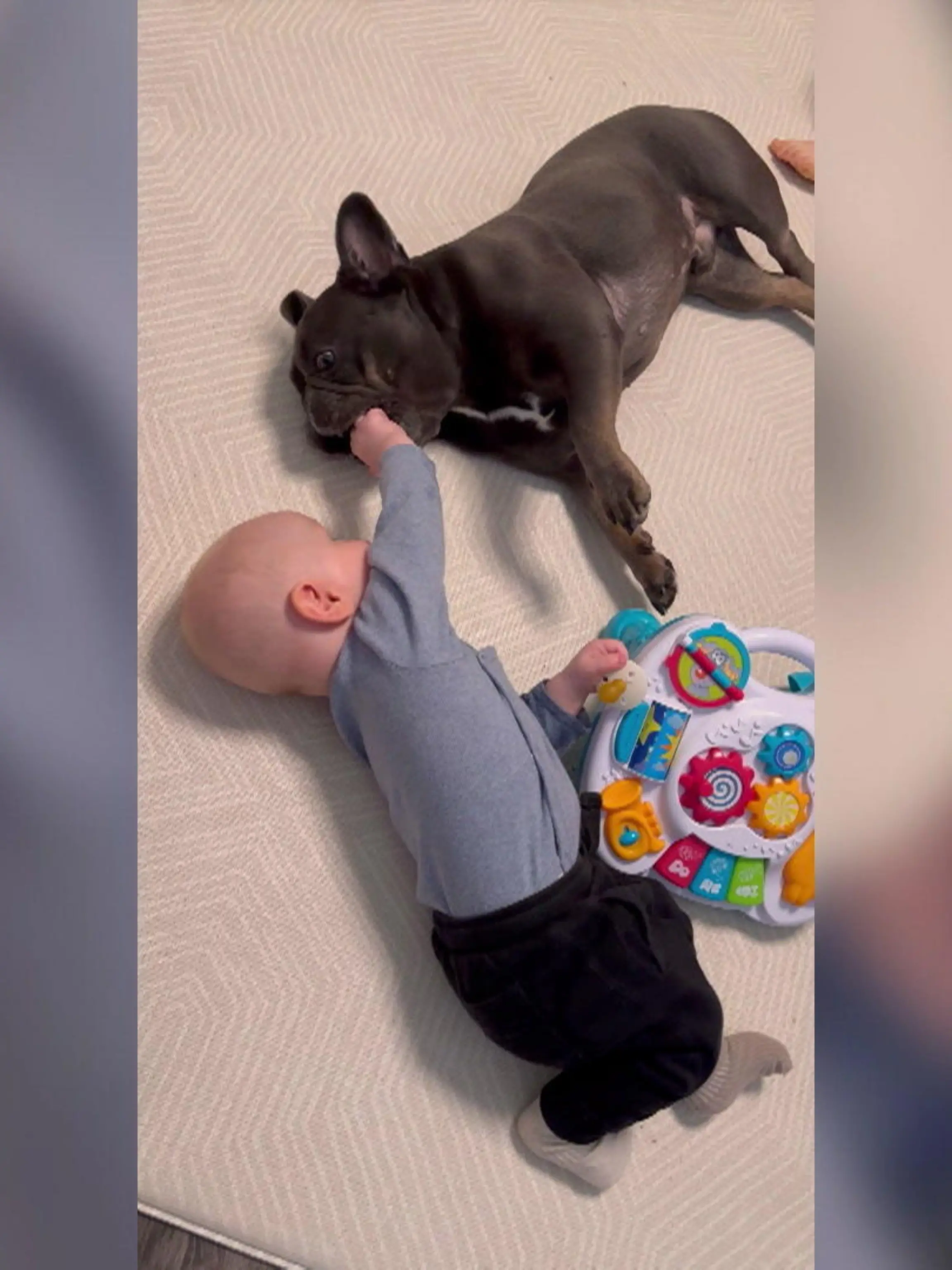 Zum Fressen gern!
So lieb haben sich Baby Gordon und die französische Bulldogge Stitch! Streicheln und schlabbern, so sieht der perfekte Tag der Beiden aus. Na, wollt ihr sehen wie wahre Zuneigung zwischen Mensch und Tier aussieht, dann schaut ins Video.