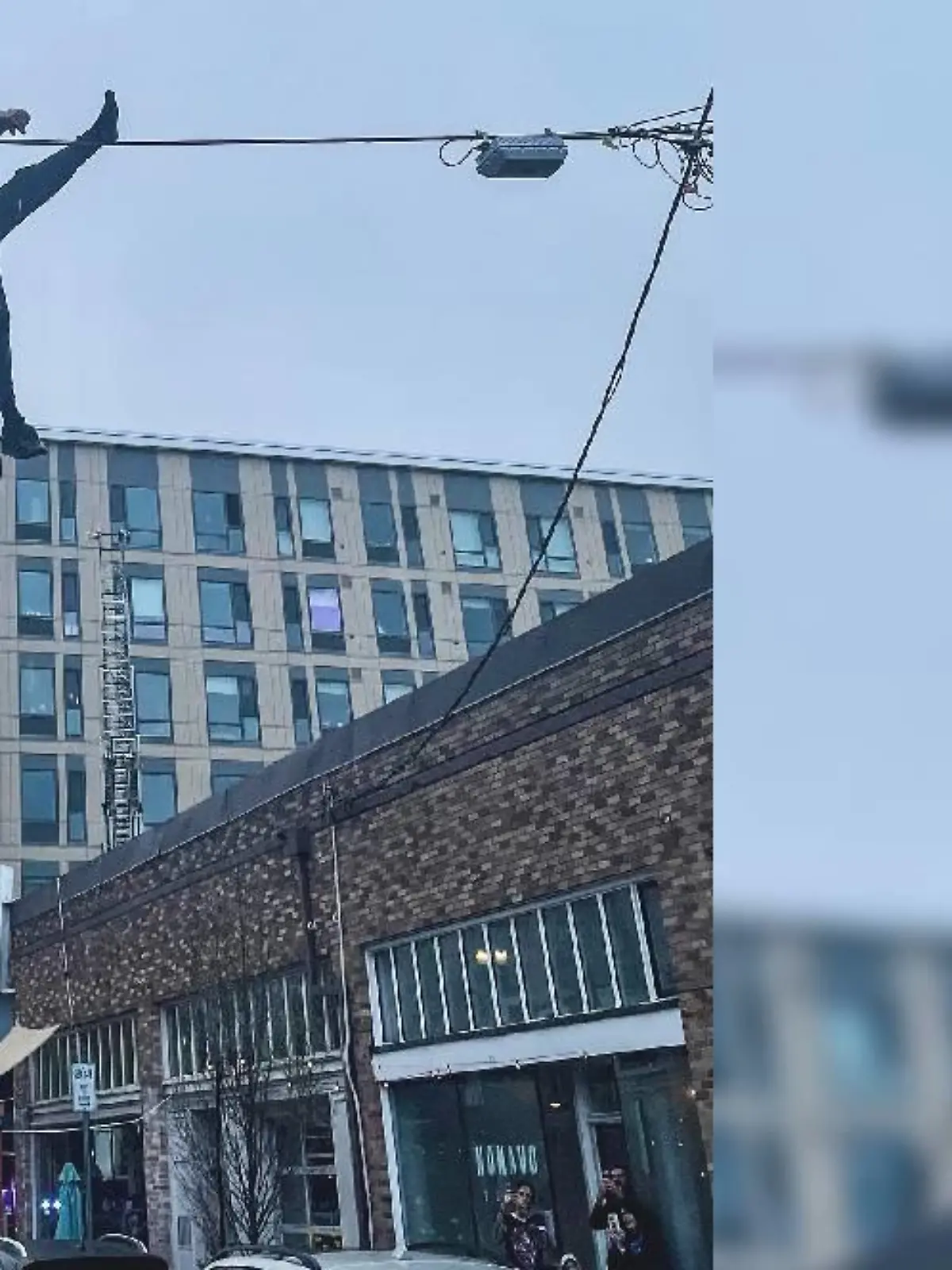 Der Dieb versucht zu flüchten. Doch dann baumelt er in der Telefonleitung, während Polizei und Feuerwehr unten auf ihn warten.