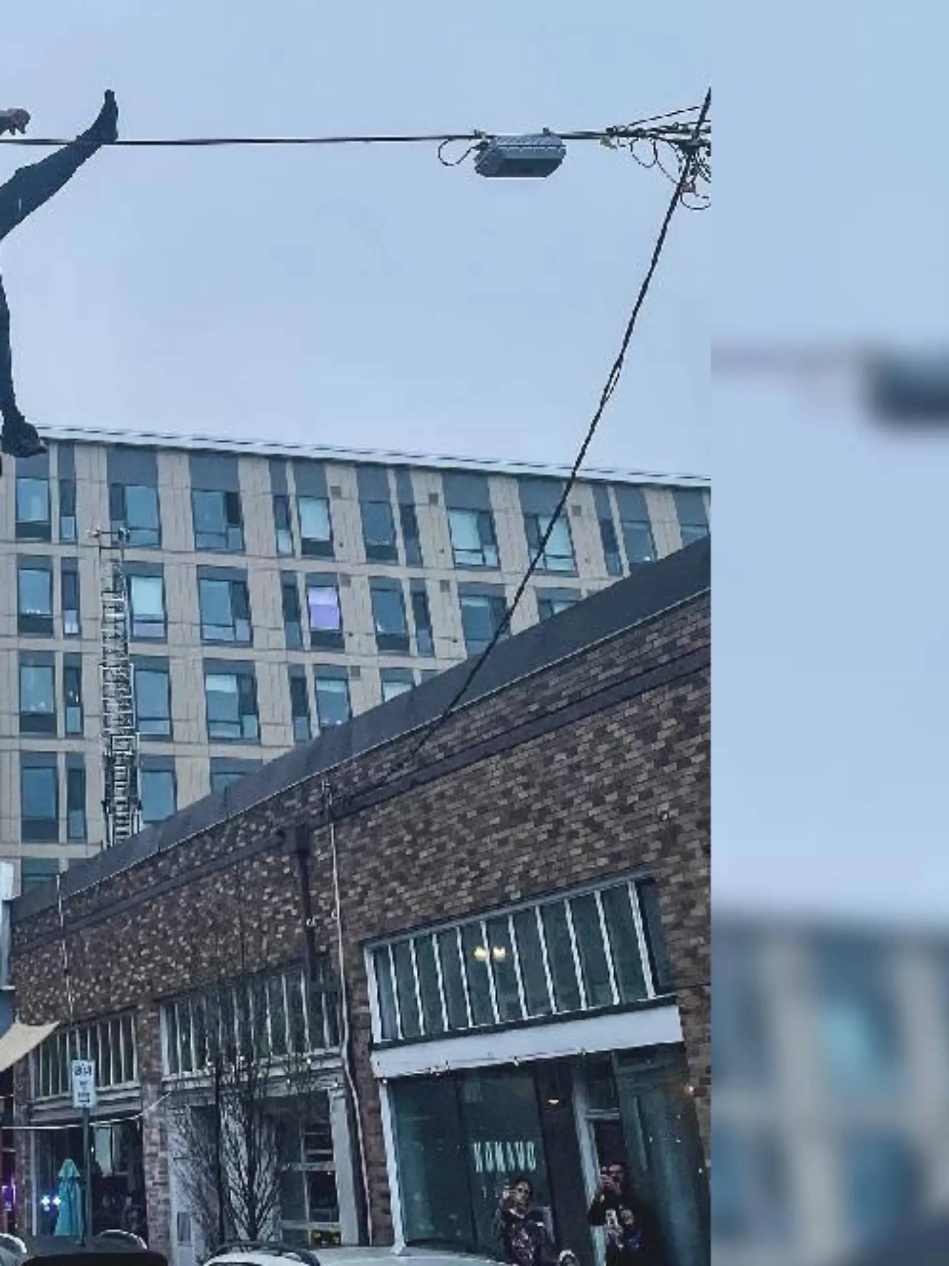 Der Dieb versucht zu flüchten. Doch dann baumelt er in der Telefonleitung, während Polizei und Feuerwehr unten auf ihn warten.