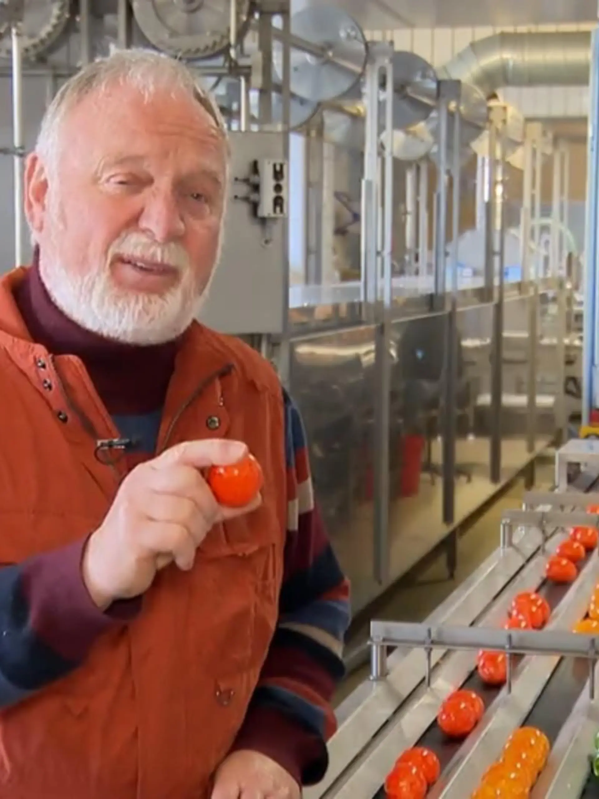 Udo Baumeister hat alle Hände voll zu tun. Der Hühnerlandwirt aus dem Sauerland produziert in der Osterzeit bis zum 800.000 gekochte und gefärbte Eier. Jedes Jahr fordert die Ostersaison Legehennen, Mitarbeiter und Landwirt aufs äußerste.