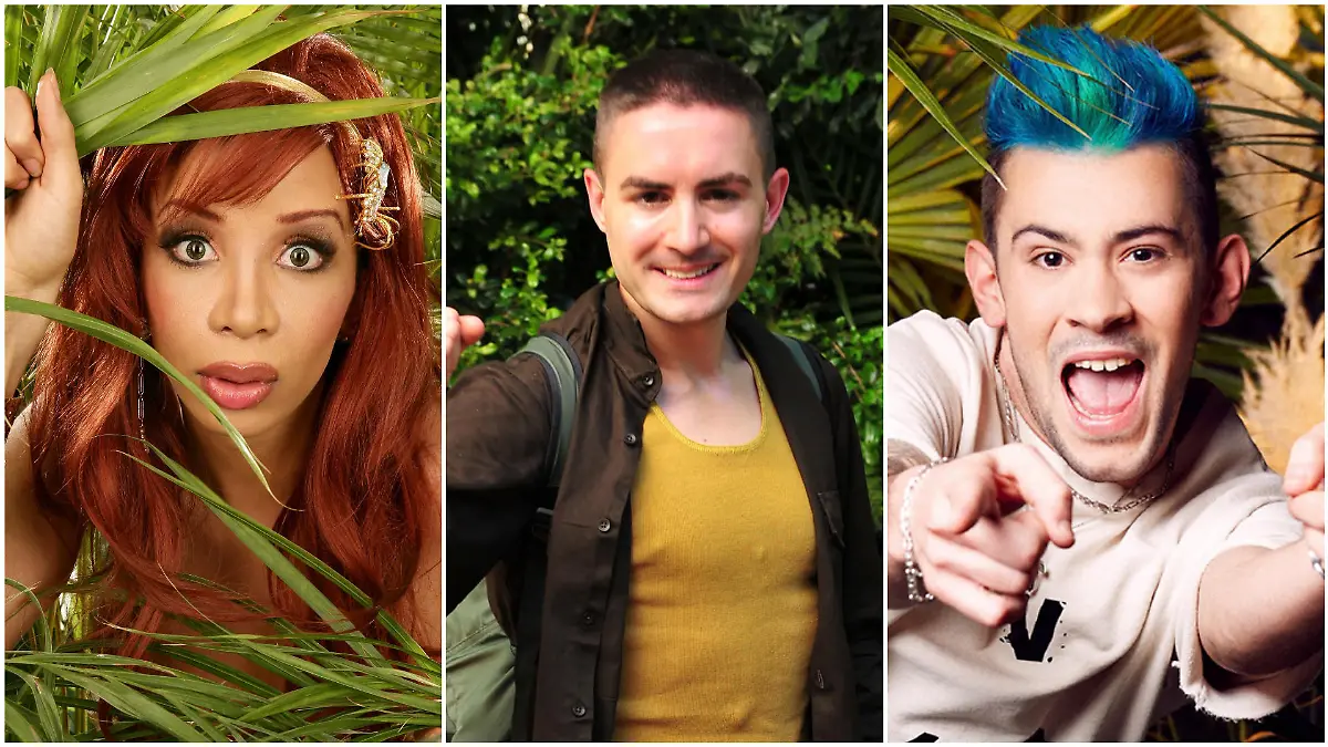 In 15 Dschungelcamp-Staffeln waren schon 14 DSDS-Kandidaten dabei