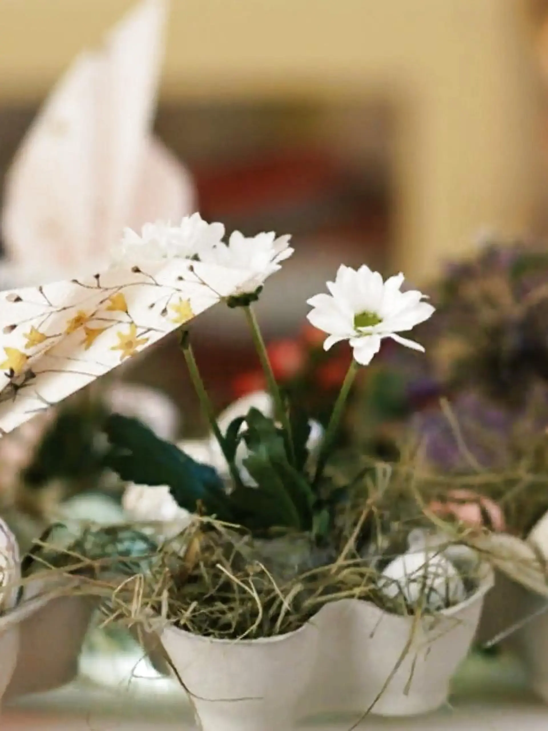 Kreativ, einfach und nachhaltig!

Wir stellen euch Basteltipps für den Osterbrunch vor, die auch noch auf die letzte Minute klappen. Denn Ostern steht vor der Tür! Und was wäre Ostern ohne bunte Eier, Osterbrunch und fröhlich frühlingshafte Tischdekoration?