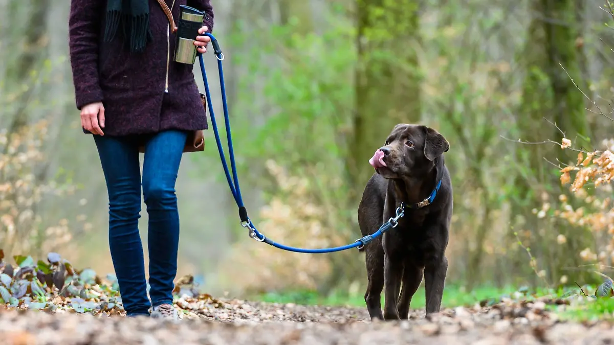 Eine Frau geht mit ihrem Hund spazieren.