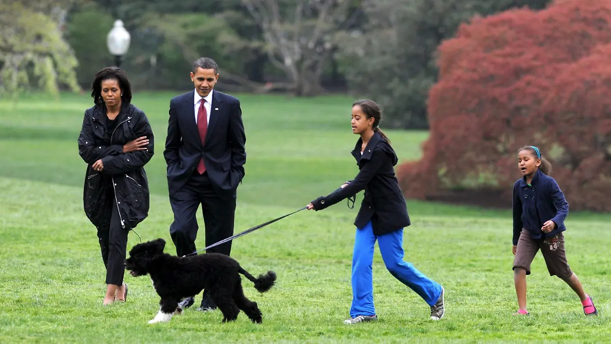 ARCHIV - US-Präsident Barack Obama, First Lady Michelle und ihre beiden Töchter Sasha (r) und Malia (2.v.r) gehen mit dem neuen First Dog "Bo", einem sechs Monate alten Portugiesischen Wasserhund, über die Wiese am Weißen Haus in Washington (Archivfoto vom 14.04.2009). Foto: MICHAEL REYNOLDS (zum dpa-Themenpaket "100 Tage Obama" vom 27.04.2009) +++(c) dpa - Bildfunk+++