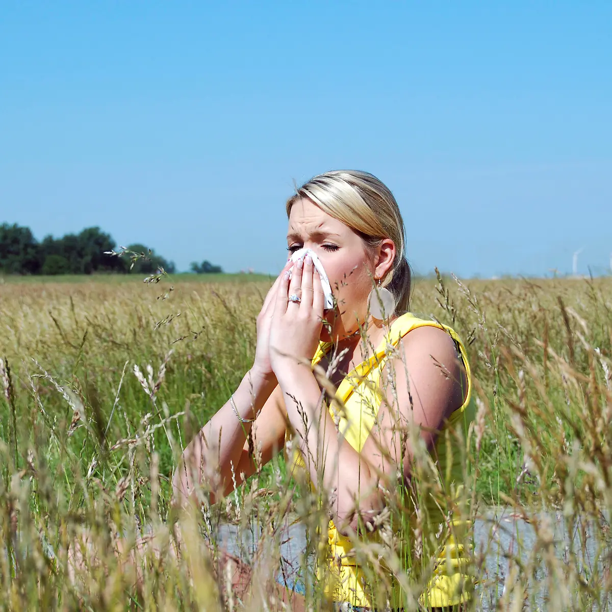 Allergie Logo von Allergie