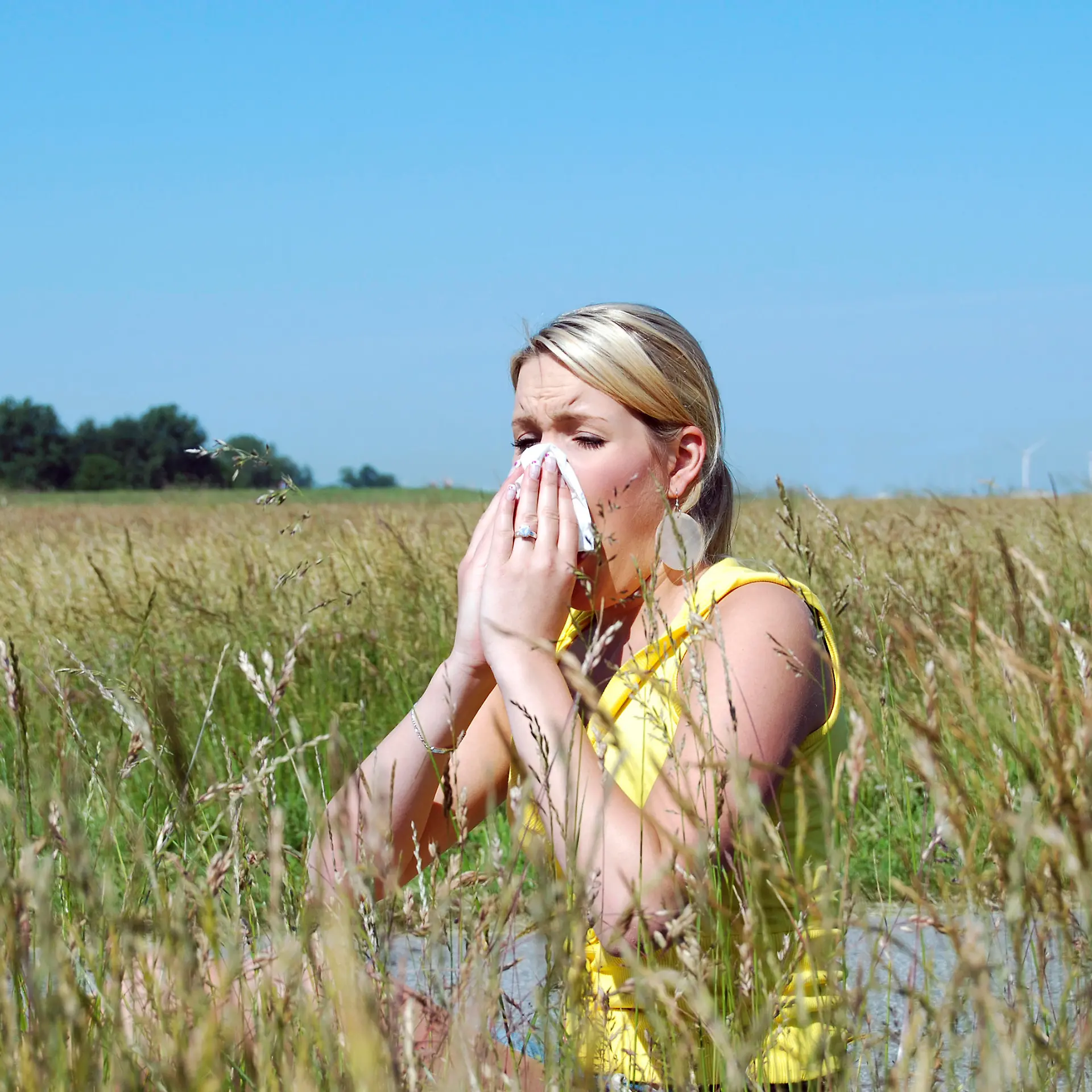Allergie Logo von Allergie