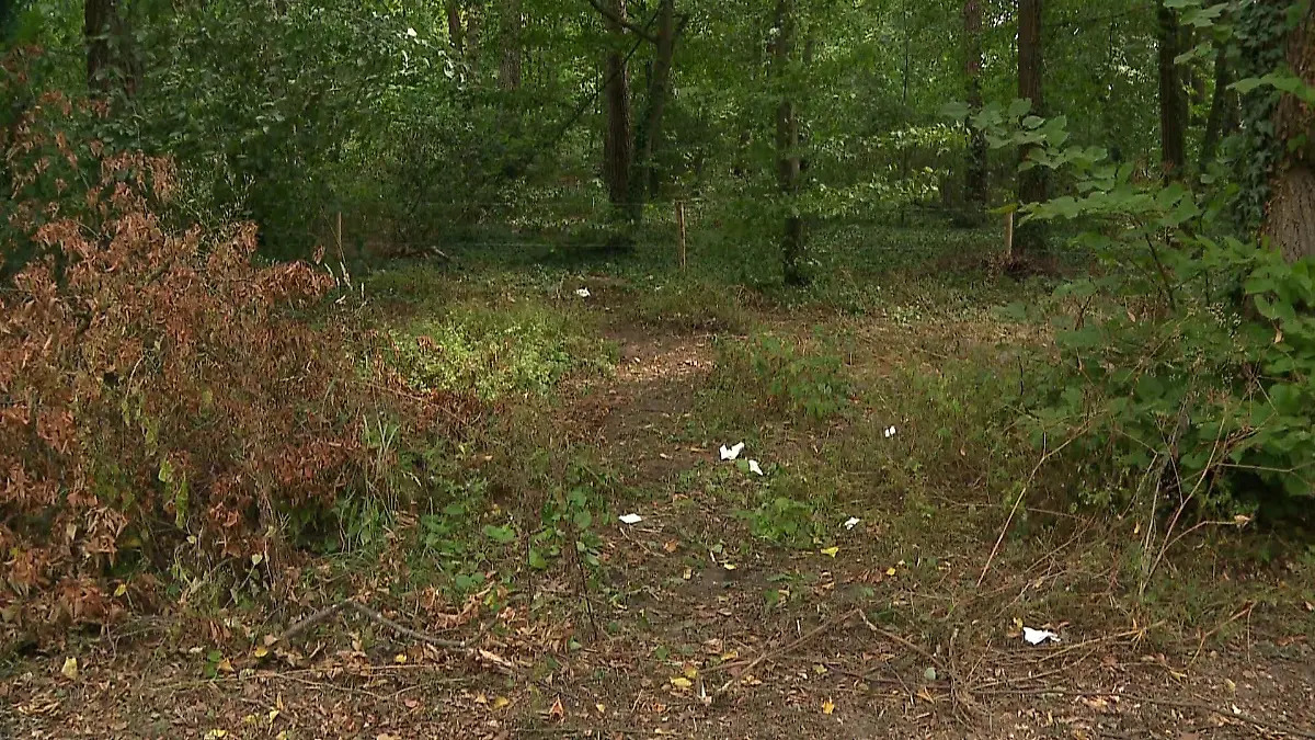 In der niederländischen Provinz Utrecht verrichten immer mehr Menschen ihre Notdurft in der Öffentlichkeit.