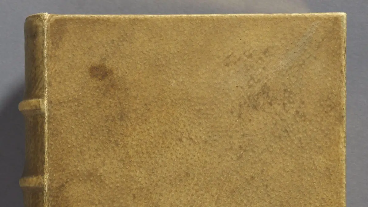 epa04246612 An undated handout image provided by the Houghton Library at Harvard University in Cambridge, Massachusetts, USA on 09 June 2014 shows the front cover of a copy of 'Des destinees de l'ame' (On the Destiny of the Soul) by French author Arsene Houssaye (1815-1896) from the library's collection. According to media reports, Harvard University scientists have confirmed that the 19th century book was alsmost certainly bound in human skin. EPA/HOUGHTON LIBRARY, HARVARD UNIVERSITY / HANDOUT EDITORIAL USE ONLY IN CONNECTION TO THE REPORTING ON THE STORY +++ MANDATORY CREDIT +++ HANDOUT EDITORIAL USE ONLY/NO SALES ++