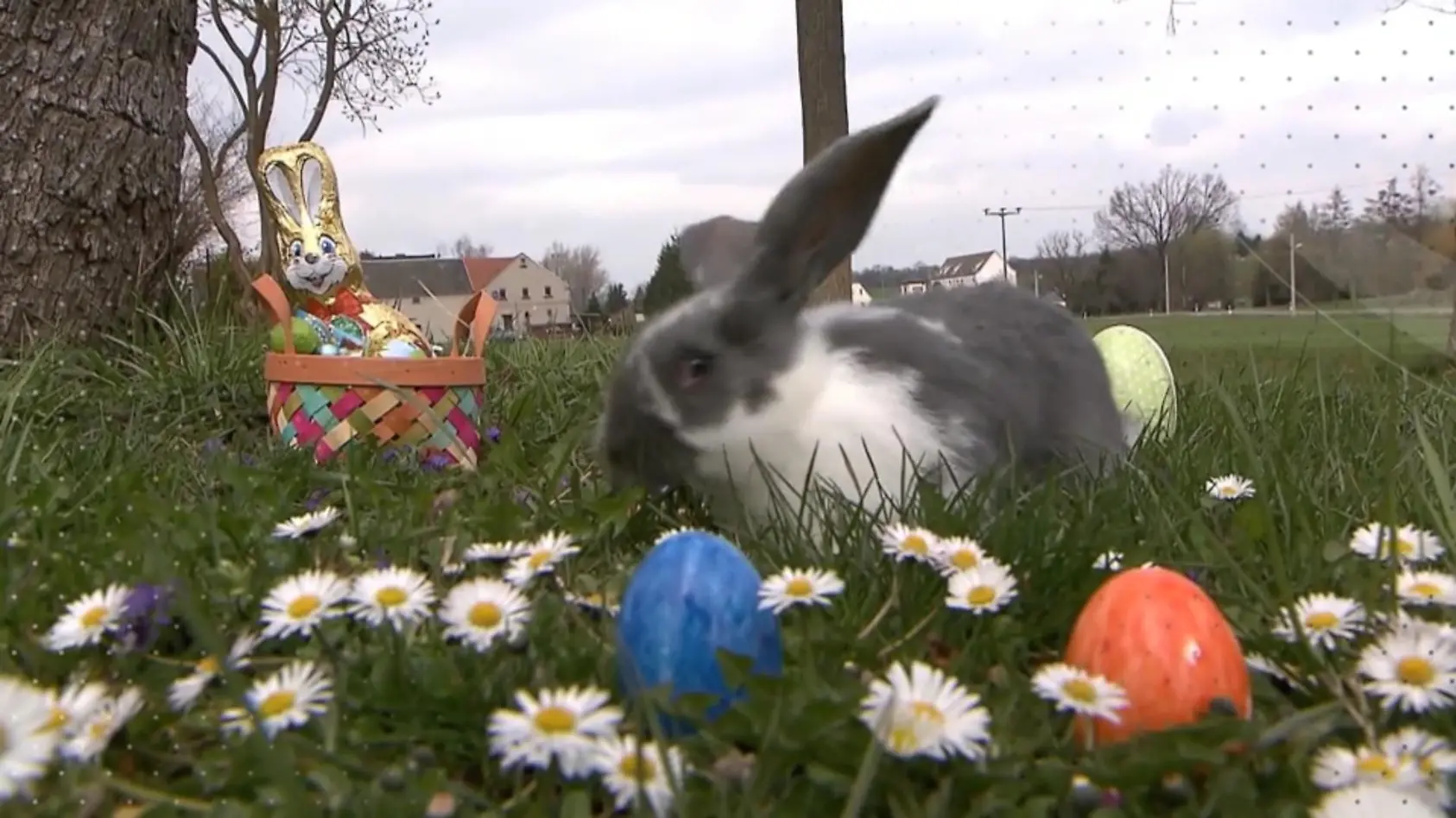 Warum färben wir eigentlich Eier?