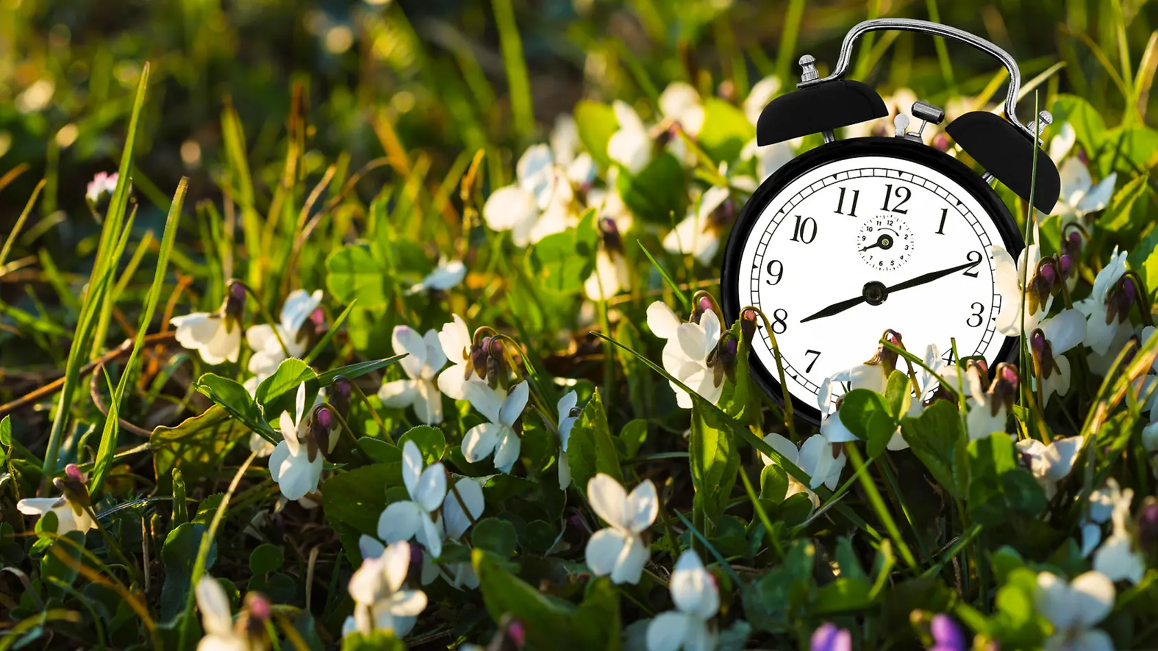 Eselsbrücken helfen bei Zeitumstellung