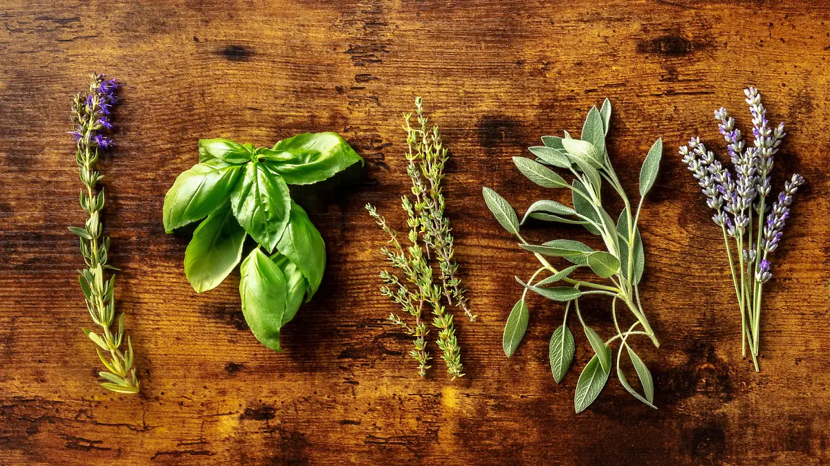 Fresh aromatic herbs, overhead flat lay panorama on a rustic wooden background. Bunches of rosemary, basil, thyme and various other culinary plants