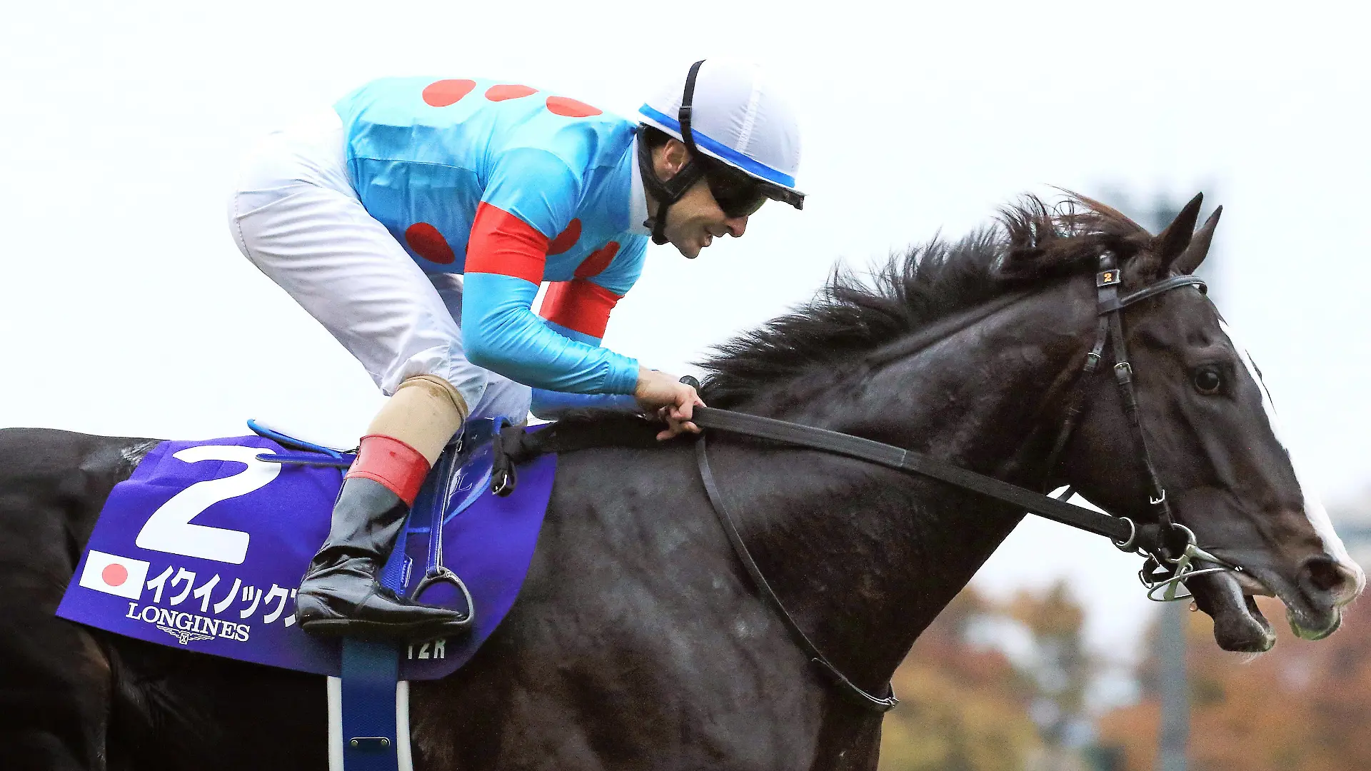26.11.2023, Tokio, Tokyo, JPN - Equinox with Christophe Lemaire up wins the 43rd Japan Cup. Fuchu racecourse. Pferd, Jockey, Equinox, Lemaire, Sieg, Ziel, Zielankunft 231126Y981TOKIO.JPG *** 26 11 2023, Tokyo, Tokyo, JPN Equinox with Christophe Lemaire up wins the 43rd Japan Cup Fuchu racecourse Horse, Jockey, Equinox, Lemaire, Win, Finish, Finish 231126Y981TOKIO JPG