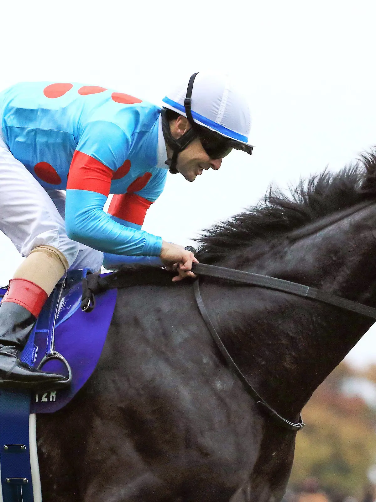 26.11.2023, Tokio, Tokyo, JPN - Equinox with Christophe Lemaire up wins the 43rd Japan Cup. Fuchu racecourse. Pferd, Jockey, Equinox, Lemaire, Sieg, Ziel, Zielankunft 231126Y981TOKIO.JPG *** 26 11 2023, Tokyo, Tokyo, JPN Equinox with Christophe Lemaire up wins the 43rd Japan Cup Fuchu racecourse Horse, Jockey, Equinox, Lemaire, Win, Finish, Finish 231126Y981TOKIO JPG