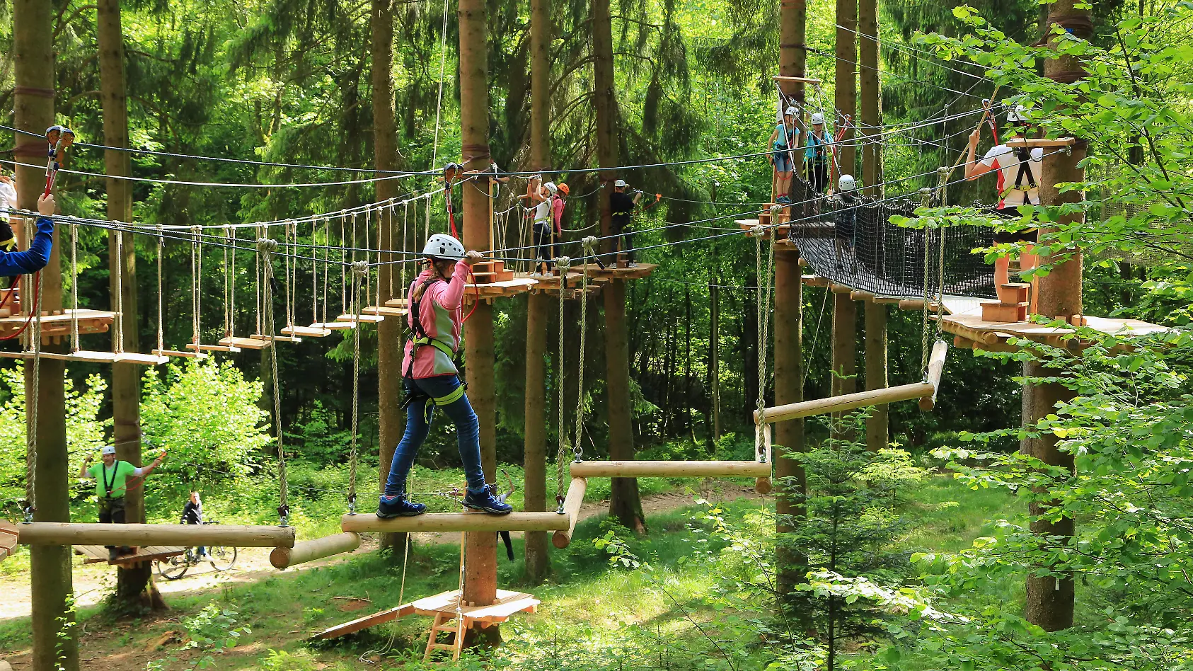 Frau stürzt im Waldseilgarten in Tiefe