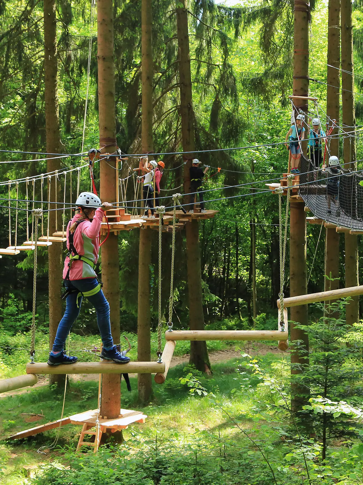 Kletterwald und Hochseilgarten