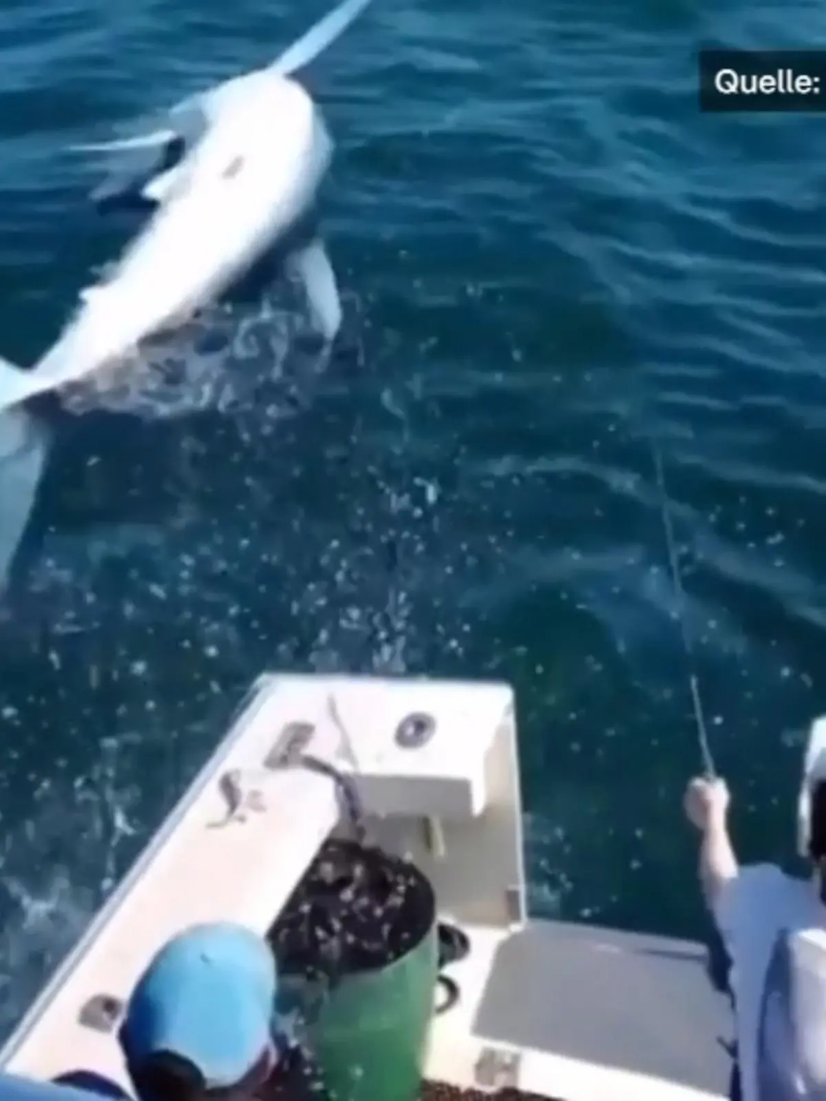 Damit haben die Fischer aus dem US-Bundesstaat Maine nicht gerechnet. Beim Angeln springt ihnen plötzlich ein drei Meter langer Makohai ins Boot. Eine Kamera hält den unglaublichen Fang fest.