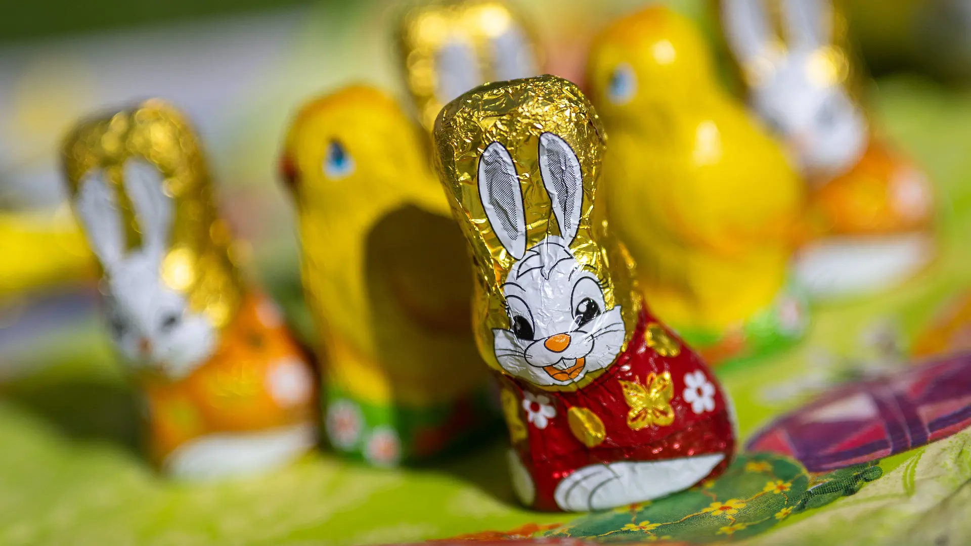 PRODUKTION - 18.03.2024, Berlin: Osterhasen und Küken aus Schokolade stehen bei sonnigem Wetter in einem Garten auf einer Serviette. (zu dpa: «240 Millionen Schoko-Osterhasen gehen in den Verkauf - Kritik an Preisen») Foto: Monika Skolimowska/dpa +++ dpa-Bildfunk +++