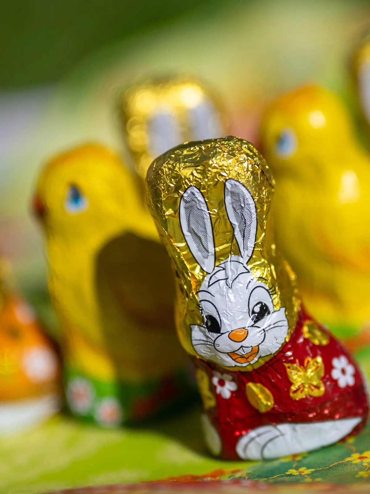 PRODUKTION - 18.03.2024, Berlin: Osterhasen und Küken aus Schokolade stehen bei sonnigem Wetter in einem Garten auf einer Serviette. (zu dpa: «240 Millionen Schoko-Osterhasen gehen in den Verkauf - Kritik an Preisen») Foto: Monika Skolimowska/dpa +++ dpa-Bildfunk +++