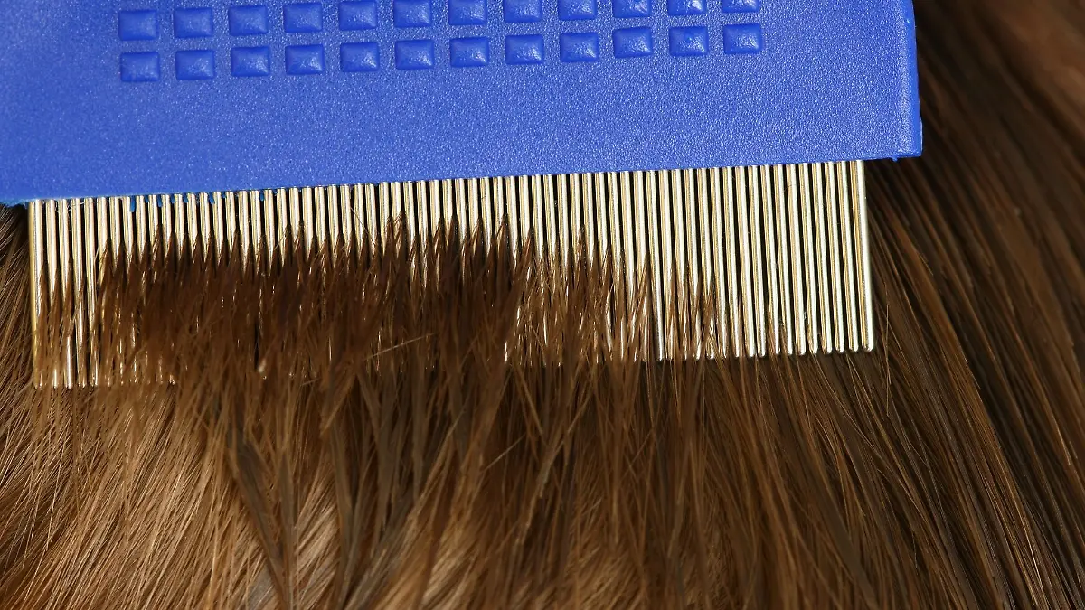 Eine Mutter sucht mit Hilfe eines Läusekammes die Haare ihres Sohnes nach Kopfläusen ab.
