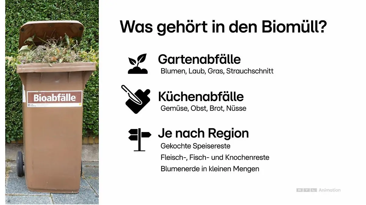 Biomüll richtig trennen
