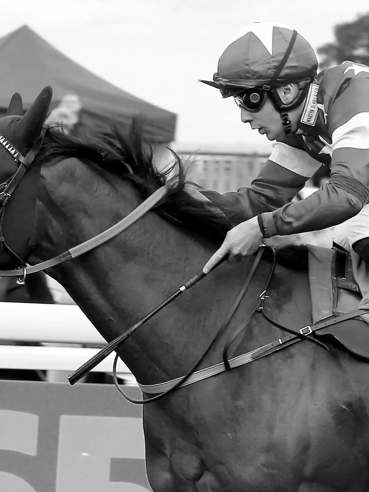 Horse racing Beverley Races SPELLS AT DAWN 3 ridden by Stefano Cherchi and trained by Alex French winning The Class 5 bet365 Very British Raceday Restricted Maiden Stakes over 7f Â7,700 during the horse racing meeting at Beverley Racecourse, Beverley, United Kingdom on 28 May 2022. Beverley Beverley Racecourse Yorkshire United Kingdom Editorial use only  , Copyright: xMickxAtkinsx PSI-15346-0014