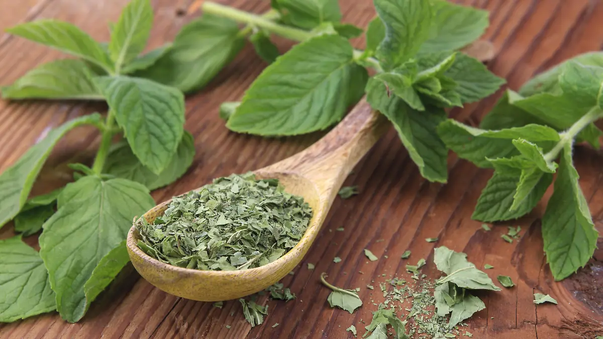 Display of dried mint leaves on a spoon surrounded by fresh mint leaves.