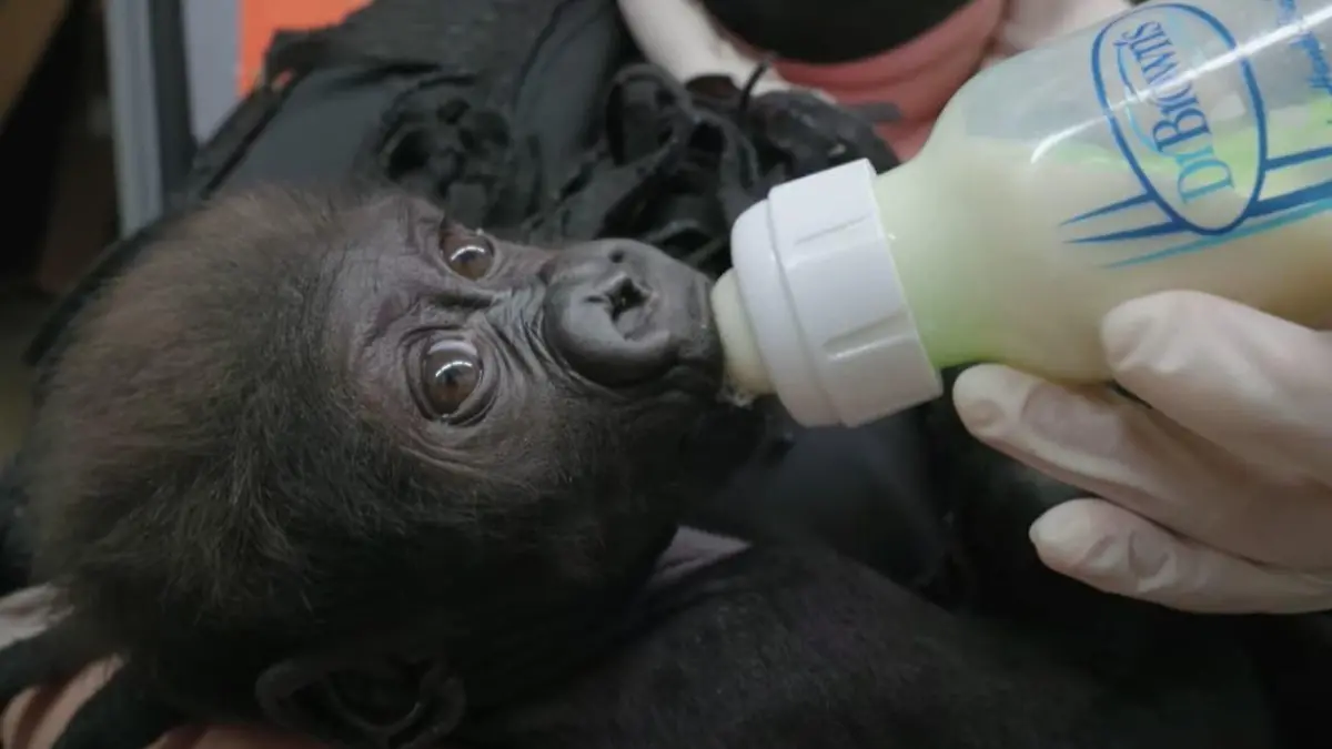Jameela kommt zu ihrer Adoptivmama.