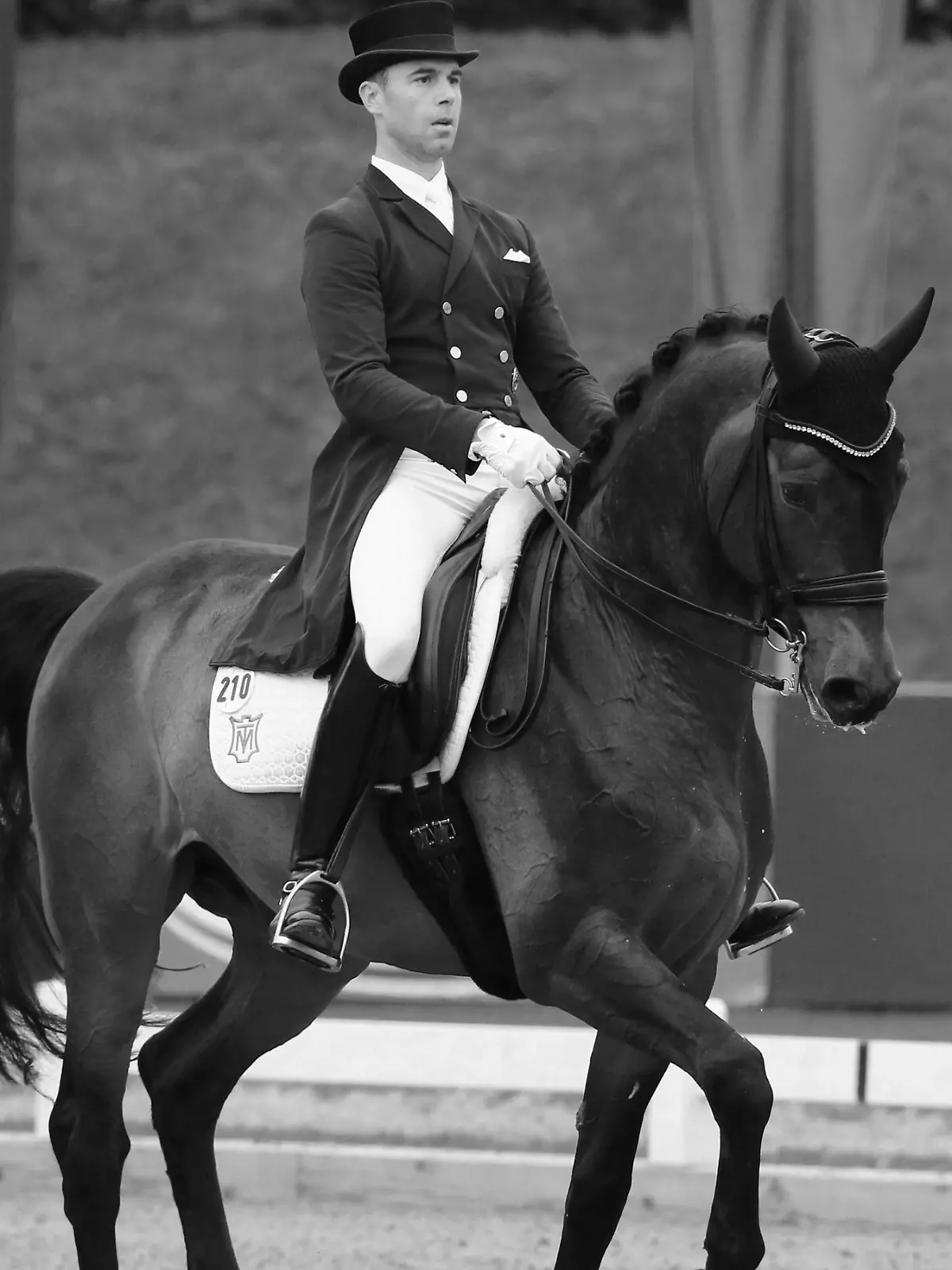 Benjamin Werndl, Pferd: Famoso OLD / Pferd International 2019 / München / Dressurreiten 23 CDI 5* - Grand Prix -International / 31.05.2019 / *** Benjamin Werndl, Horse Famoso OLD Horse International 2019 Munich Dressage 23 CDI 5 Grand Prix International 31 05 2019  