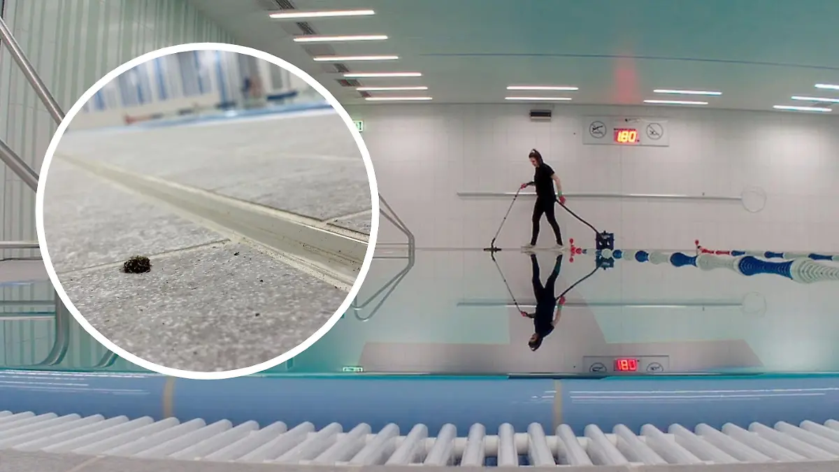 Wie sauber sind unsere Schulen?