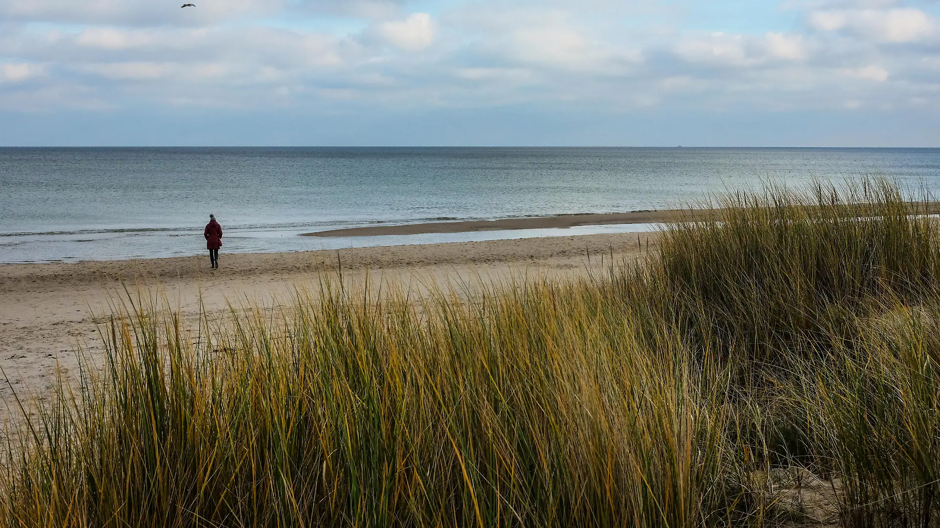 Ein Fischerboot liegt in Baabe (Mecklenburg-Vorpommern) auf der Insel Rügen am 27.11.2017 am Strand hinter den Blättern vom Strandhafer zu sehen. Foto: Jens Kalaene/dpa-Zentralbild/ZB | Verwendung weltweit