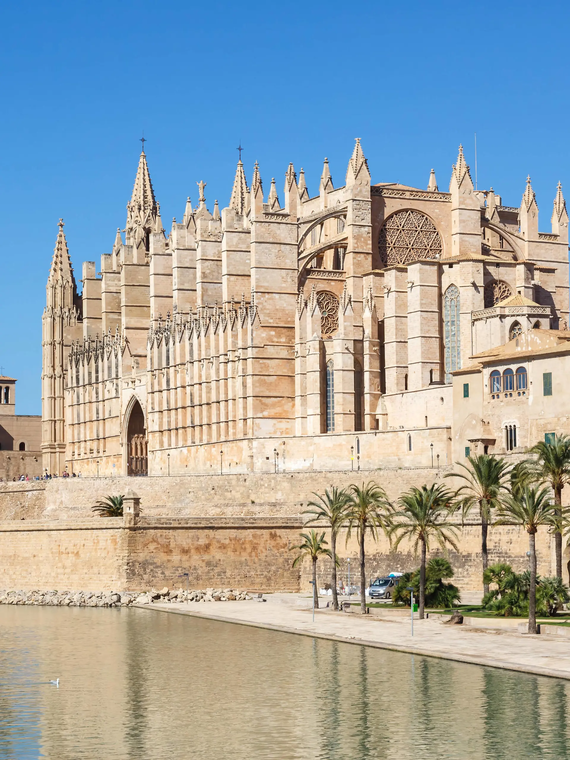  Kathedrale Catedral de Palma de Mallorca La Seu Kirche Architektur Urlaub Reise reisen in Spanien Palma de Mallorca, Spanien - 20. Oktober 2021: Kathedrale Catedral de Palma La Seu Kirche Architektur Urlaub Reise reisen in Palma de Mallorca, Spanien. *** Cathedral Catedral de Palma de Mallorca La Seu Church Architecture Vacation Travel Travel in Spain Palma de Mallorca, Spain 20 October 2021 Cathedral Catedral de Palma La Seu Church Architecture Vacation Travel Travel in Palma de Mallorca, Spain