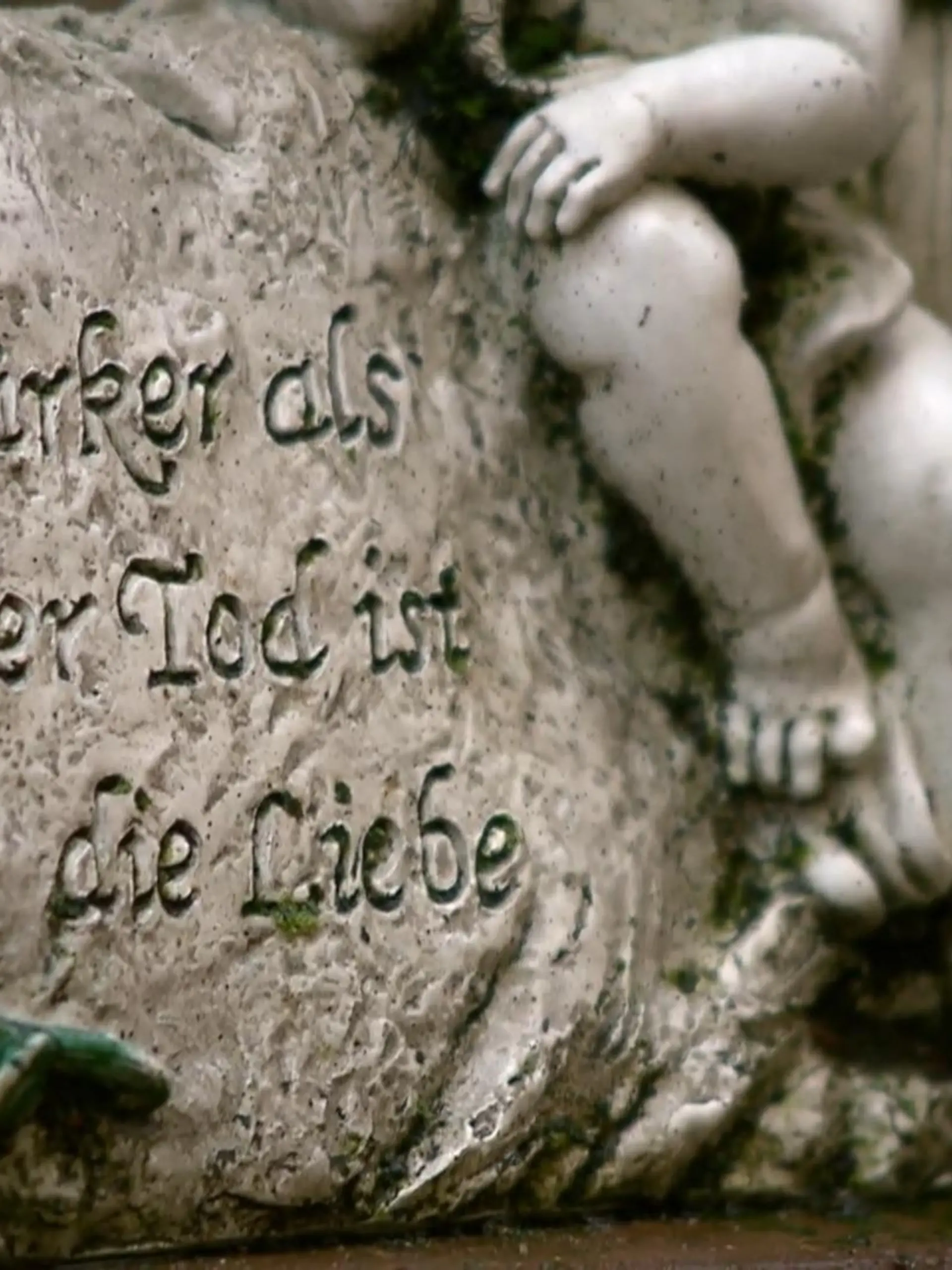 Bild zu: "In den Niederlanden auch für Kinder"