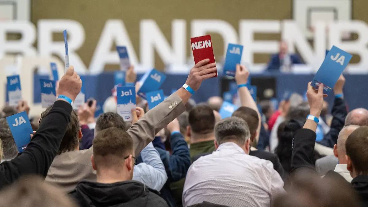 Teilnehmer des Landesparteitags AfD Brandenburg halten bei einer Abstimmung ihre Stimmkarten hoch.