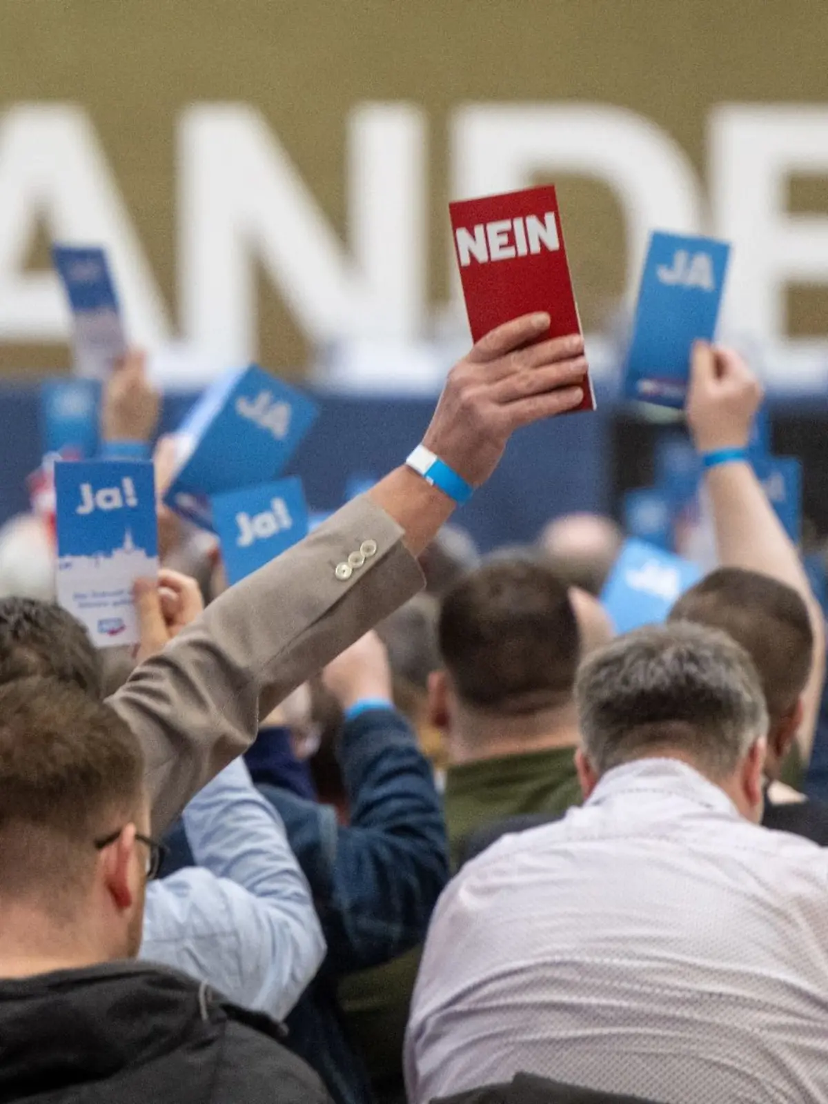 Teilnehmer des Landesparteitags AfD Brandenburg halten bei einer Abstimmung ihre Stimmkarten hoch.