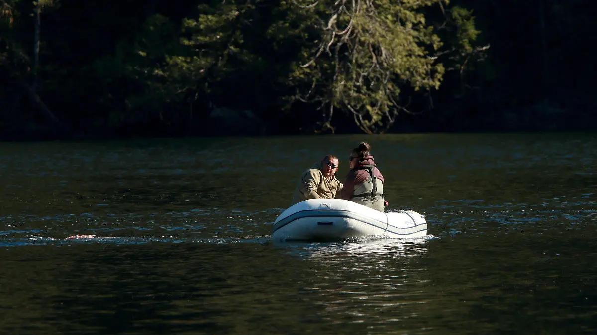 April 4, 2024, Zeballos, Bc, CAN: A Ehattesaht First Nations team certified to work with the Marine Mammal Rescue team throws harbour seal meat behind his zodiak to tow behind in an effort to supplement it's diet in a lagoon where the orphaned orca has been spending most of it's time near Zeballos, B.C., on April 4, 2024. (Credit Image: © Chad Hipolito/The Canadian Press via ZUMA Press) / action press