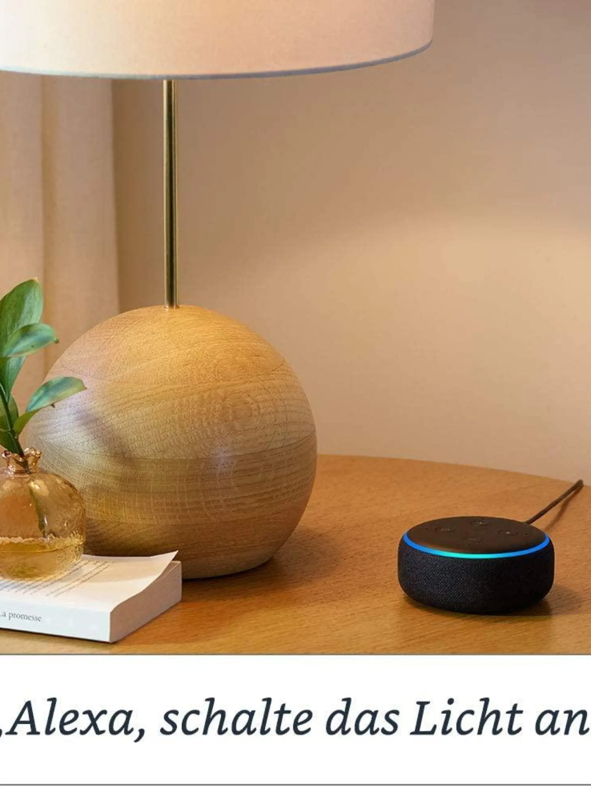 Amazon Echo Dot