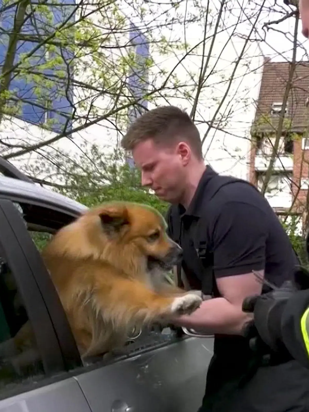 Offenbar ist der Vierbeiner mehr als eine halbe Stunde lang allein in dem Hitzeauto. Anwohner erkennen die Notlage des Hundes und alarmieren die Feuerwehr. Und es ist wohl höchste Zeit, das Tier zu befreien. Die Retter schlagen die Autoscheibe ein – der Mischlingshund springt sofort in ihre Arme.
