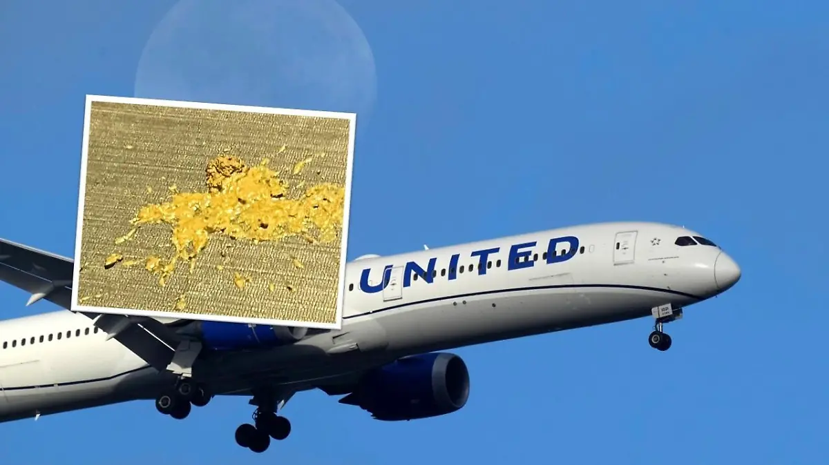 Nach dem Flug postet ein verärgerter Passagier das üble Häufchen in den sozialen Medien.