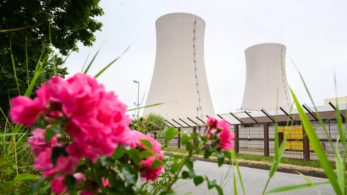 30.08.2022, Niedersachsen, Emmerthal: Rosen wachsen am stillgelegten Atomkraftwerk Grohnde. CDU und FDP werben sowohl auf Bundes- als auch auf Landesebene in Niedersachsen für eine weitere Nutzung der Atomkraft. SPD und Grüne in Niedersachsen warnen davor, den Atomausstieg grundsätzlich in Frage zu stellen. Experten gehen davon aus, dass die drei Ende 2021 abgeschalteten Atommeiler - zu denen auch das AKW Grohnde gehört - innerhalb von Monaten wieder in Betrieb gehen könnten. Foto: Julian Stratenschulte/dpa +++ dpa-Bildfunk +++