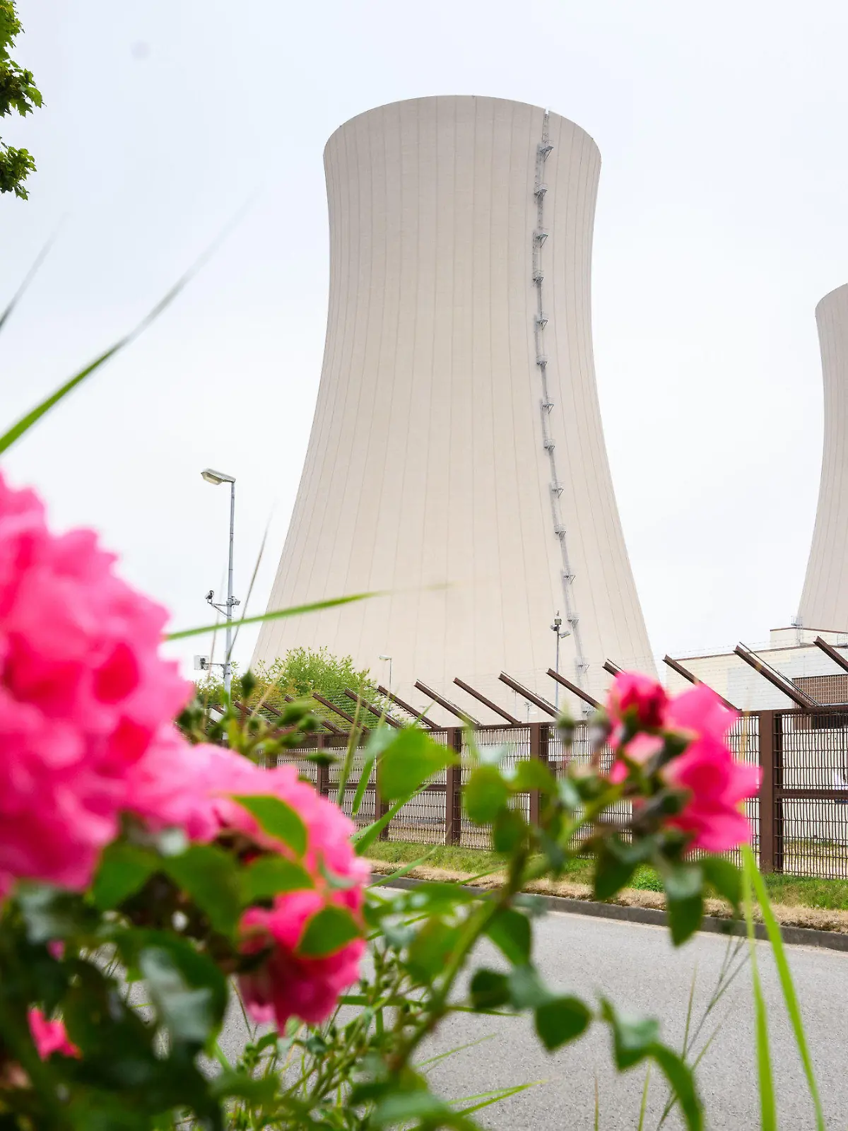 30.08.2022, Niedersachsen, Emmerthal: Rosen wachsen am stillgelegten Atomkraftwerk Grohnde. CDU und FDP werben sowohl auf Bundes- als auch auf Landesebene in Niedersachsen für eine weitere Nutzung der Atomkraft. SPD und Grüne in Niedersachsen warnen davor, den Atomausstieg grundsätzlich in Frage zu stellen. Experten gehen davon aus, dass die drei Ende 2021 abgeschalteten Atommeiler - zu denen auch das AKW Grohnde gehört - innerhalb von Monaten wieder in Betrieb gehen könnten. Foto: Julian Stratenschulte/dpa +++ dpa-Bildfunk +++