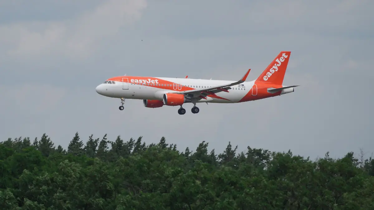 Ein Airbus A 320-214 landet hinter Bäumen auf dem BER-Flughafen.