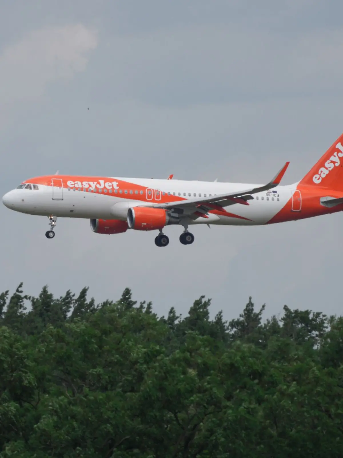 Ein Airbus A 320-214 landet hinter Bäumen auf dem BER-Flughafen.