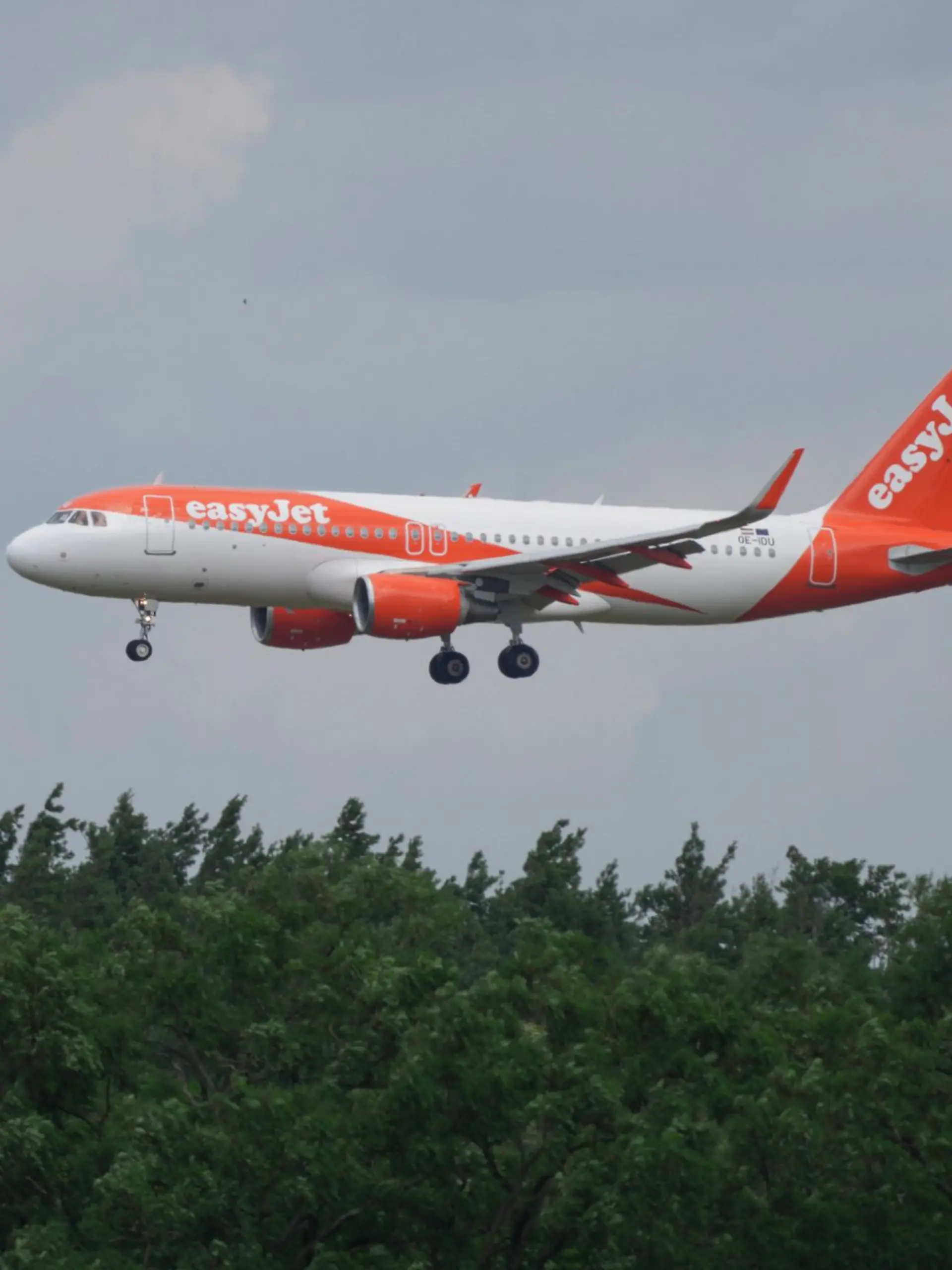 Ein Airbus A 320-214 landet hinter Bäumen auf dem BER-Flughafen.