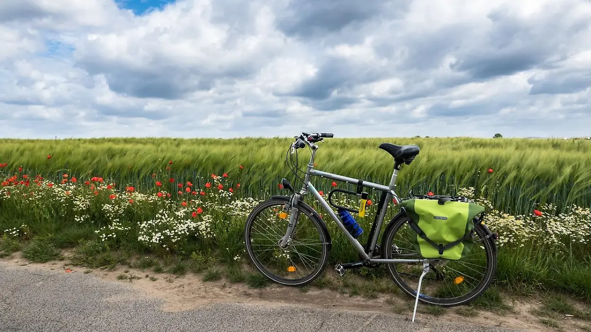 Frühling im Norden. Wir verraten euch unsere RTL Nord Geheimtipps in Sachen Lieblingsfrühlingsausflüge!