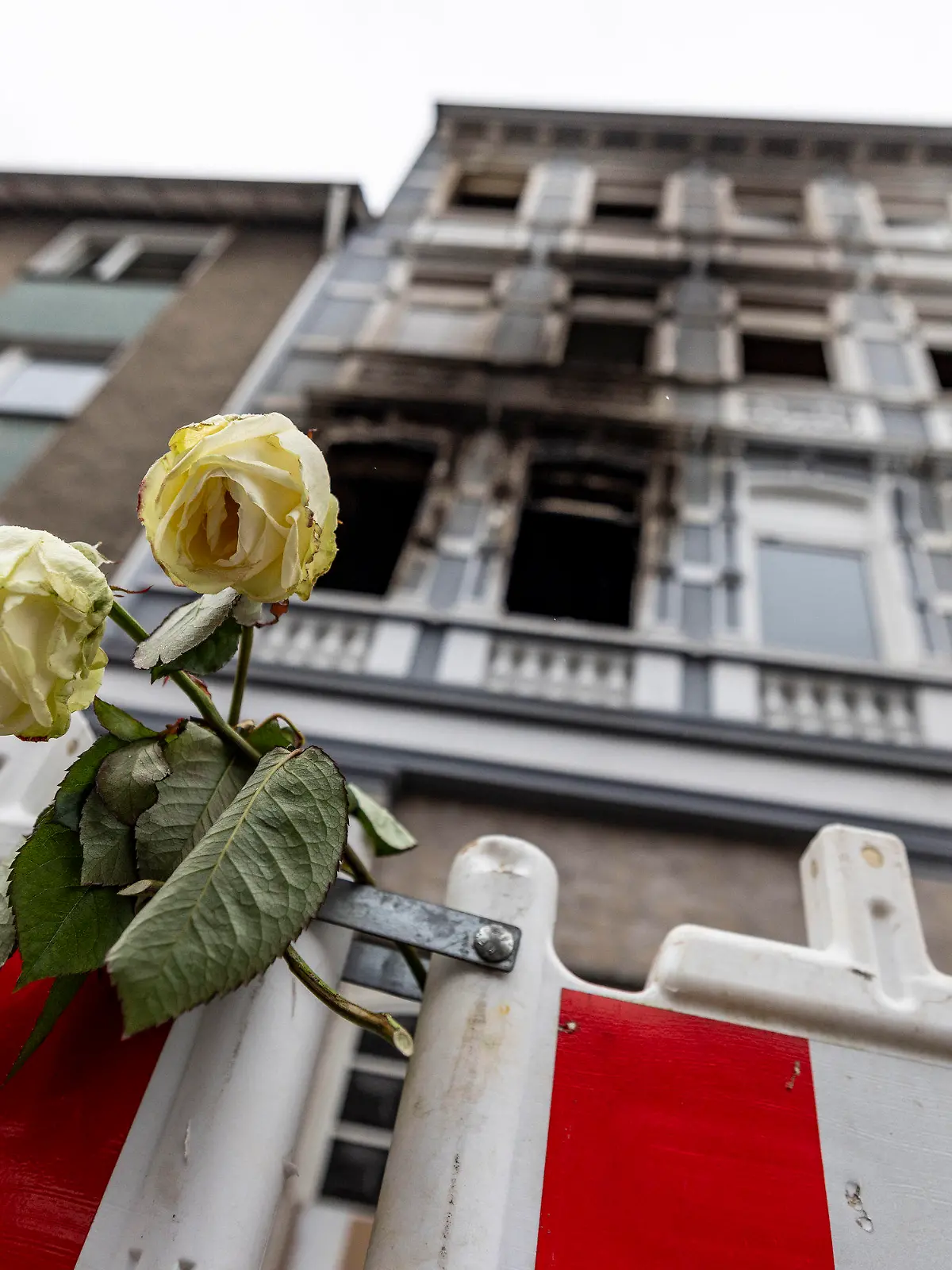 ARCHIV - 27.03.2024, Nordrhein-Westfalen, Wuppertal: Eine weiße Rose an einer Absperrbake vor dem Brandort in Solingen nach dem Pressestatement der Staatsanwaltschaft Wuppertal zum tödlichen Brand in Solingen. In dem Feuer waren vier Menschen ums Leben gekommen, mehrere wurden verletzt. (zu dpa: «Brand mit vier Toten in Solingen - Ermittlungen dauern an») Foto: Christoph Reichwein/dpa +++ dpa-Bildfunk +++