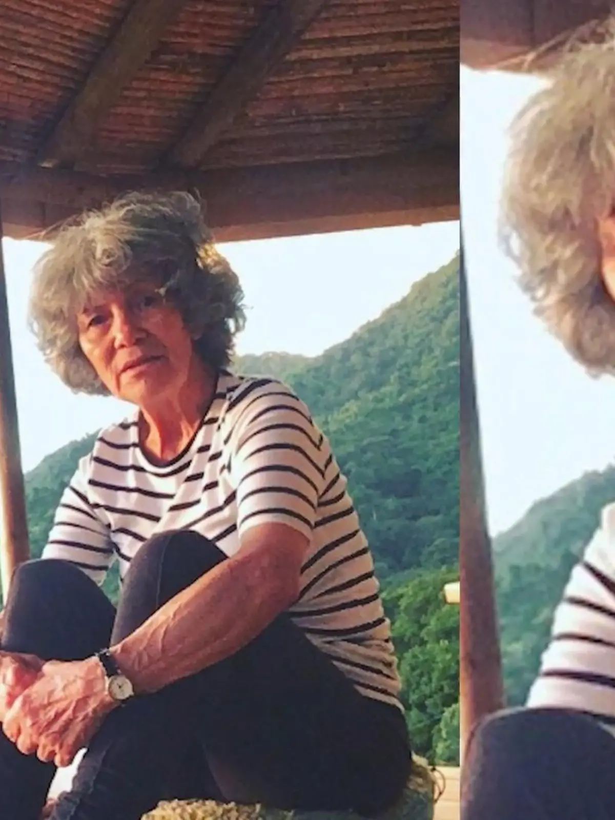 Wenn man Marina Chapmans Kindheitsgeschichte hört, dann denkt man sofort an Mogli und das Dschungelbuch! Marina weiß bis heute nicht, wie alt sie ist - denn sie behauptet, ihre Eltern sind kleine Kapuzineraffen. Mit den Tieren sei sie allein im kolumbianischen Dschungel aufgewachsen ist, so Marina. Ihre Tochter Vanessa möchte jetzt in ihre Fußstapfen treten, warum? Das erfahrt ihr im Video!