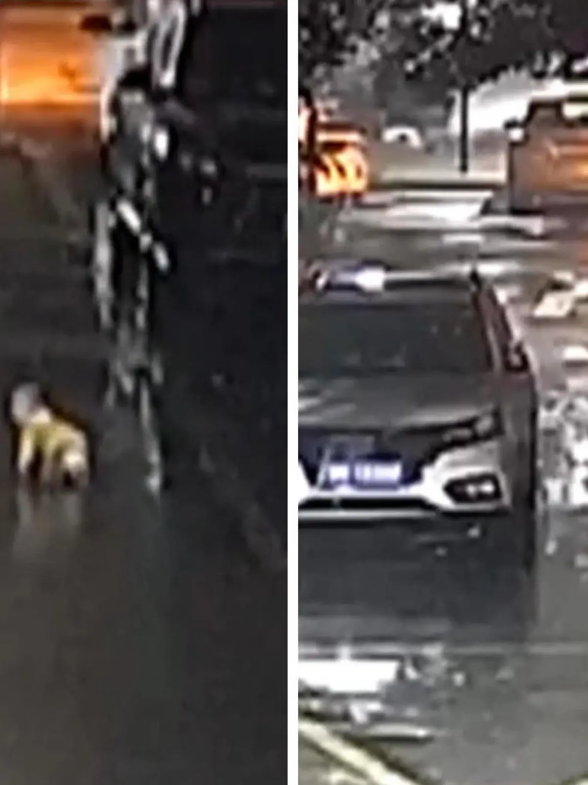 Einem Passanten in Wuxi in China gelingt es, ein krabbelndes Baby von einer breiten Straße zu retten. Der Säugling soll von zu Hause ausgebüxt sein, während seine Mutter nur kurz für eine Besorgung das Haus verlassen hatte. Dank des schnellen Eingreifens konnte das Baby in Sicherheit gebracht werden. Wie der Mann den kleinen Jungen rettet, zeigen wir euch im Video.
