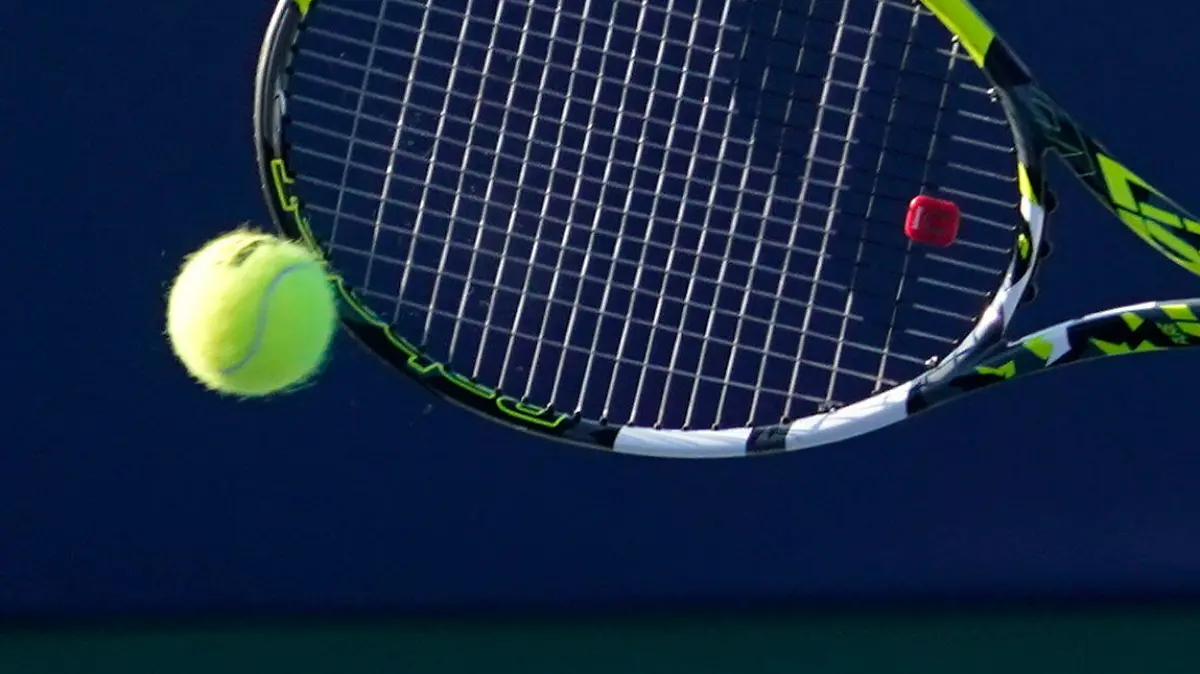 Adrian Mannarino, of France, returns a shot against Laslo Djere, of Serbia, during the championship match of the Winston-Salem Open tennis tournament in Winston-Salem, N.C., Saturday, Aug. 27, 2022. (AP Photo/Chuck Burton)
