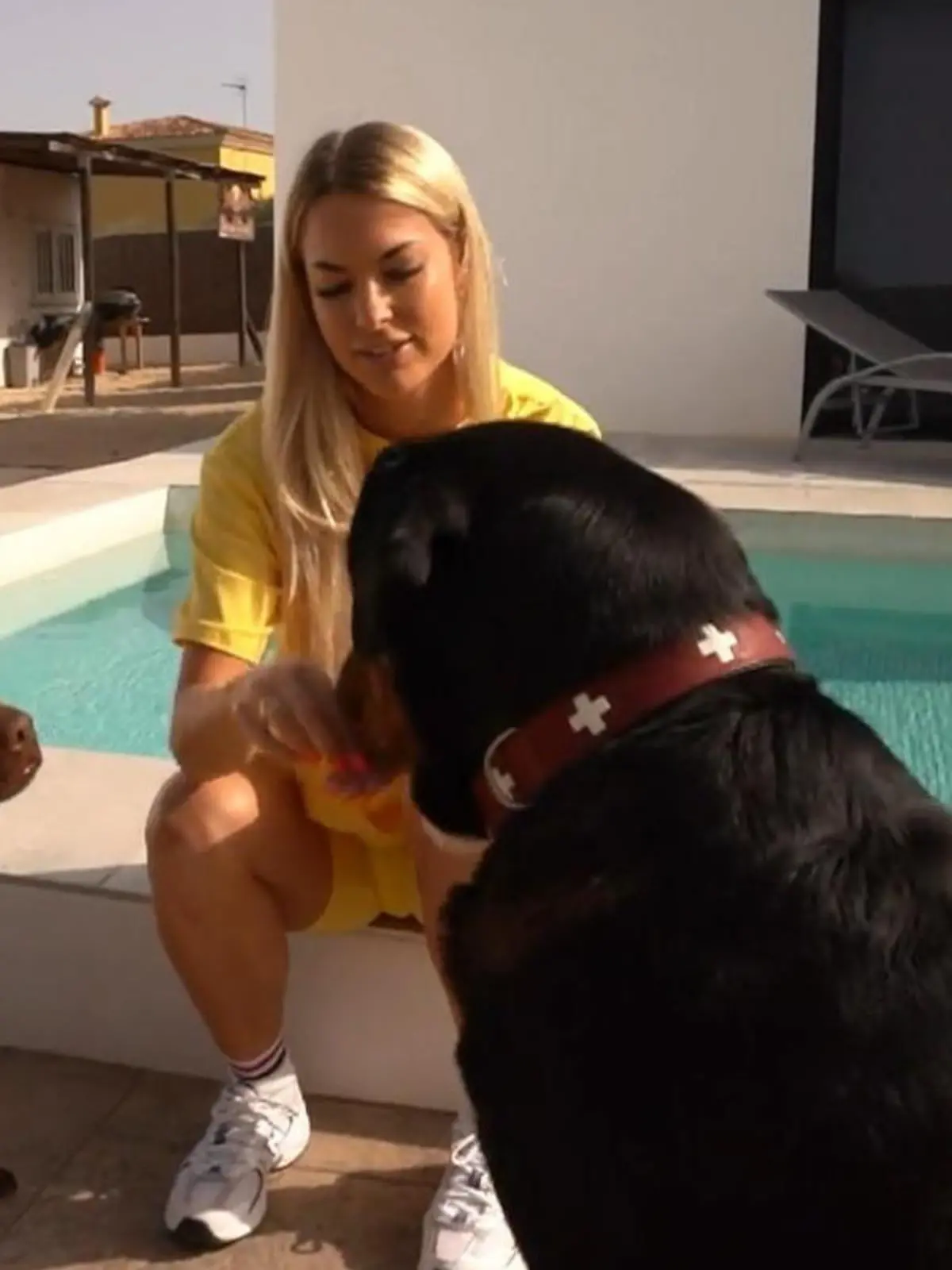 Ob Sitz, Platz oder Bleib: Bei ihm reicht ein Fingerschnippen und die Hunde wissen genau, was gefordert ist! Jörg Müllers Fähigkeiten als Hundeflüsterer sind so erstaunlich, dass ihn die Promis sogar nach Mallorca einfliegen lassen. Auch mit Ballermannstar Isi Glück gehen die Vierbeiner durch. Ob Jörg auch ihre Hunde innerhalb weniger Stunden in den Griff bekommt?